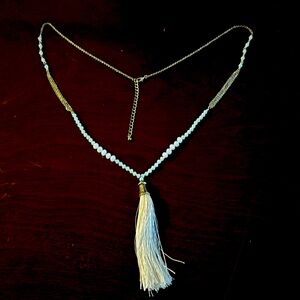 Tassle Statement necklace